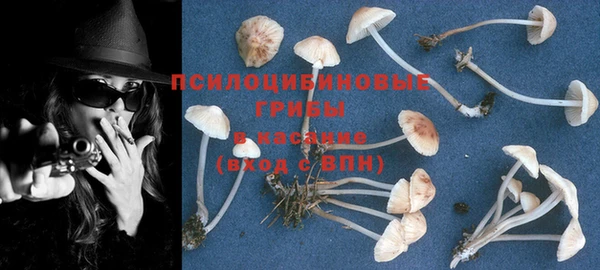 PSILOCYBIN Богданович